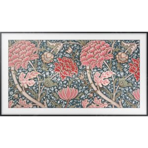 Samsung QN43LS03R - Display Completo